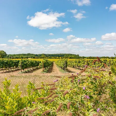 Charming Countryside Retreat - Up To 7 People בית נופש Macqueville