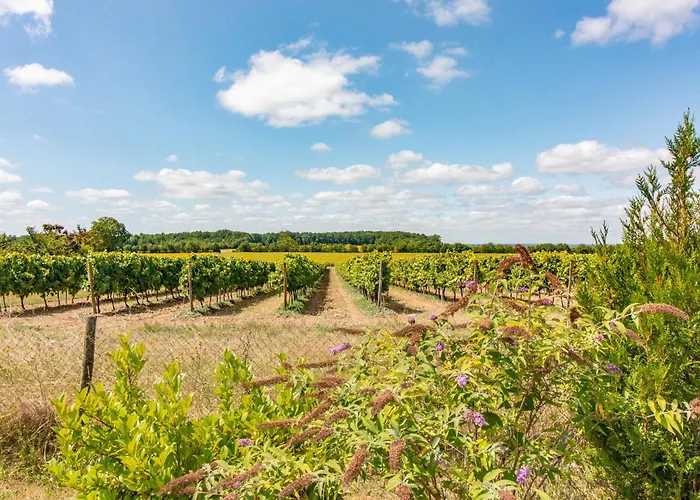 Charming Countryside Retreat - Up To 7 People Сasa de vacaciones Macqueville